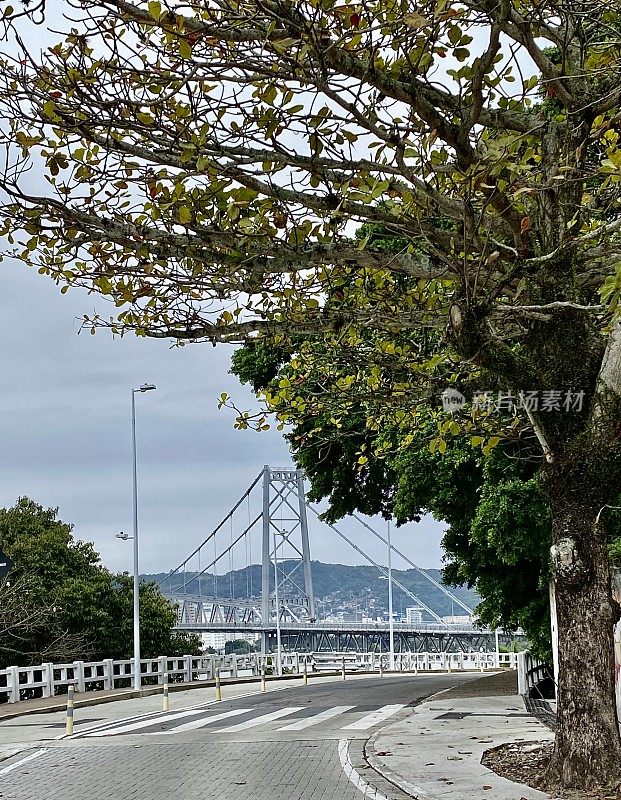 Hercilio Luz桥改造后的看法在Florianópolis